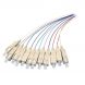 OS2 Fibrederglass Pigtail Coloré Set SC / PC - 12 pièces