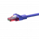 Câble CAT6 UTP 100% cuivre violet - 1m