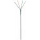Rouleau câble rigide gris CAT5E F / UTP CCA - 100m
