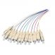 OM3 FIBERGLASS Pigtail de couleur SC - 12 pièces