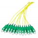 OS2 Fibre de verre Pigtail Jaune SC / APC - 12 pièces