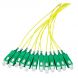 OS2 Fibre de verre Pigtail Jaune SC / APC - 12 pièces