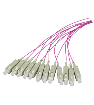 OM4 Fibre de verre Pigtail Purple St - 12 pièces