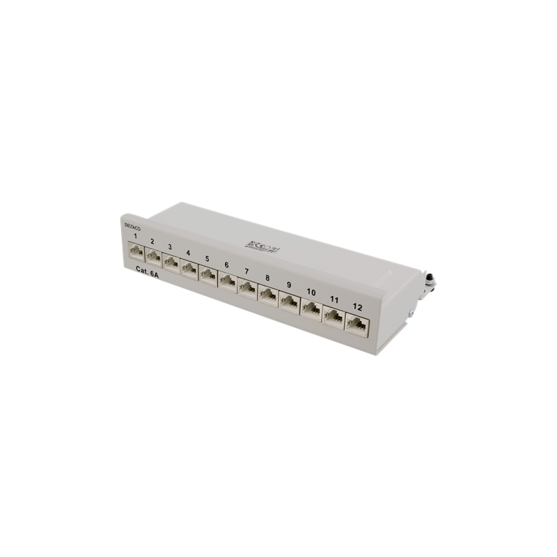 Panneau de brassage mural Cat6a UTP 90º 10 pouces 12 ports RJ45